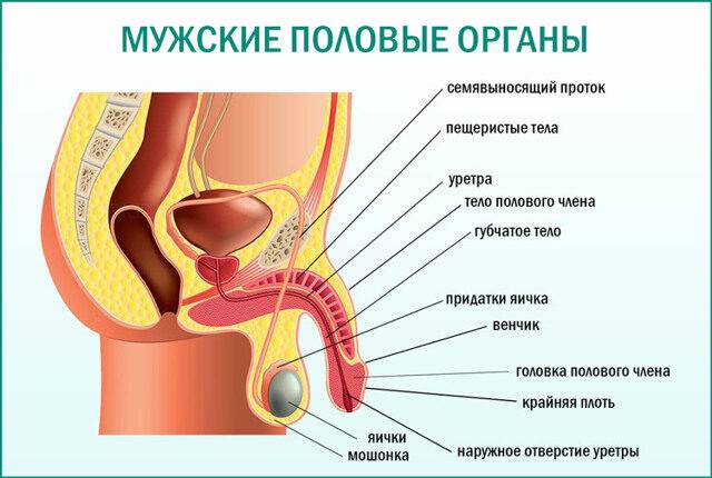 7b15f45e9336896b21e9d927db6f335a