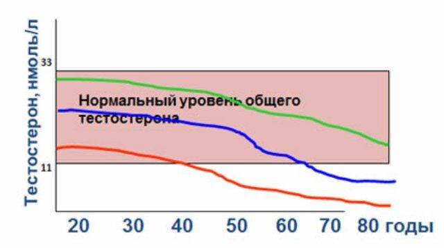 normy-testosterona-u-muzhchin