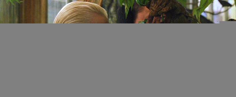 resize_800_331_true_crop_800_331_0_0_q90_63811_1f6ecf01bc418a922691c68ba
