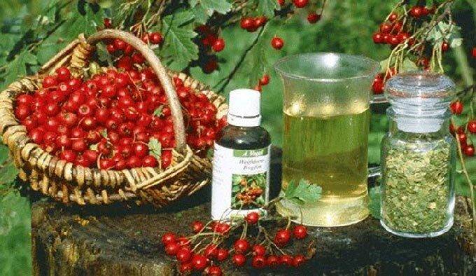 travy-ot-besplodiya-1