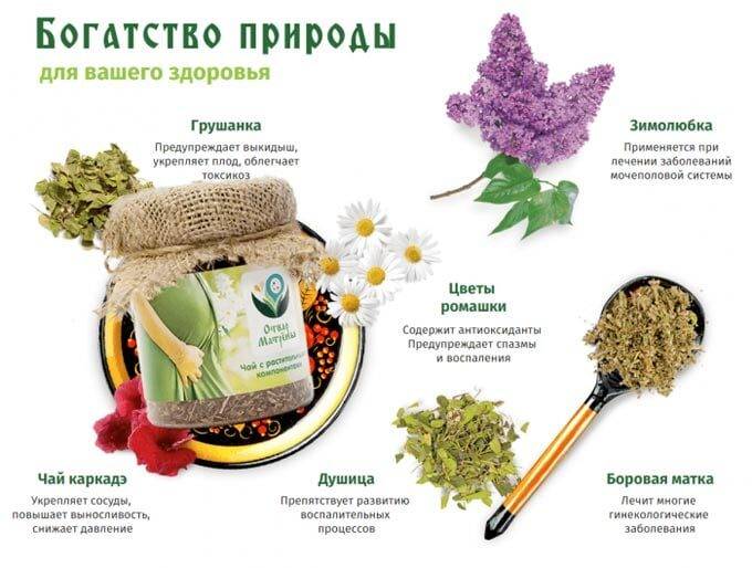 travy-ot-besplodiya-8
