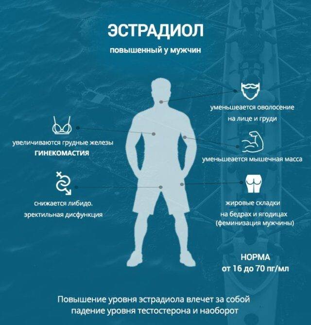 ea96939d051549cdc7486fa94760b648